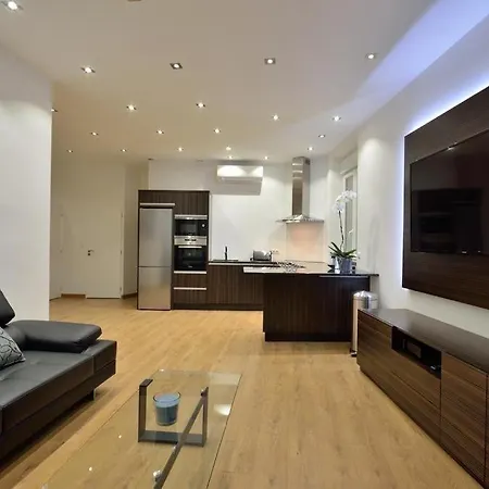 Tres Bel Centre-ville *